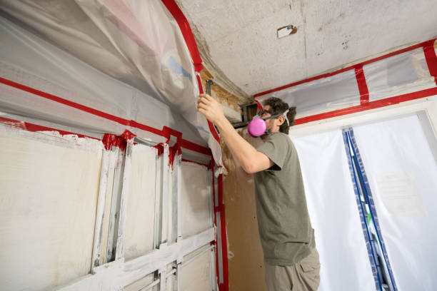 Best Biohazard Mold Removal  in Sun Prairie, WI